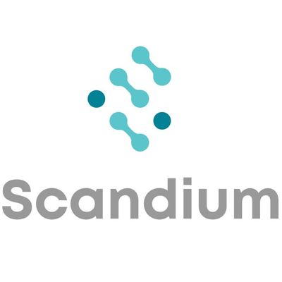 Rare Elements Limited-company-logo