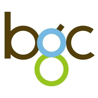 BGC GROUP (HK) LIMITED-company-logo