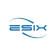 eSIX Limited-company-logo